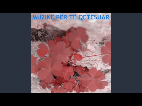 Video: Si Të Rregulloni Muzikë