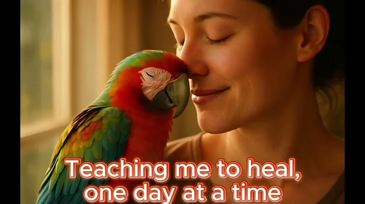 From Ground Zero to Sanctuary The Complete 12-Day Journey  Full Series Recap