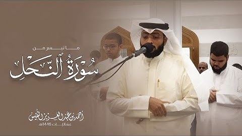 عشائية جميلة بنفحات حصرية من سورة النحل