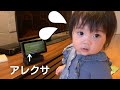 反応がかわいすぎ!アクレサにびびっているけど触りたい1才児の葛藤 (Ponu wants to play with the Echo Show, but a bit scared)