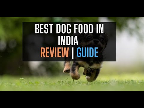 Best Dog Food in India 2021 Review Guide | Best Budget Review