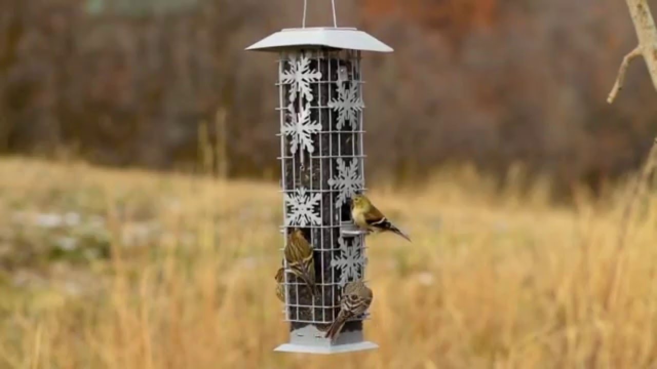 Perky Pet Squirrel Be Gone Snowflake Wild Bird Feeder Youtube