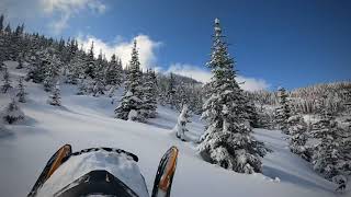 Sledding in Northern BC, Pine Pass