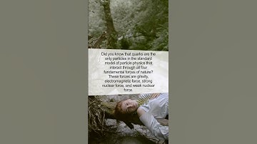 Unlocking the Secret Life of Quarks: The Building Blocks of Matter