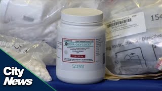 $12 million worth of drugs seized in Peel Region
