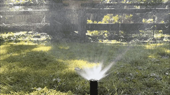 Adding a NEW SPRINKLER to an Existing Line. DIY Backyard Sprinkler Installation and save $$$$!