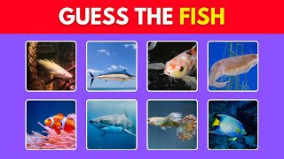 Guess the Fish Quiz  | Quiz Videos for Kids