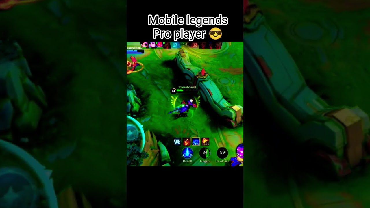 Mobile Legends Pro player 😎 