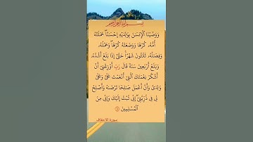 #سورة #الأحقاف للقاري صلاح أبو خاطر