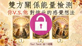 ㊙️延伸占卜👉雙方關係能量檢測｜你v.s.他 對彼此的感覺想法｜未來一個月的發展｜🅃🄸🄼🄴🄻🄴🅂🅂