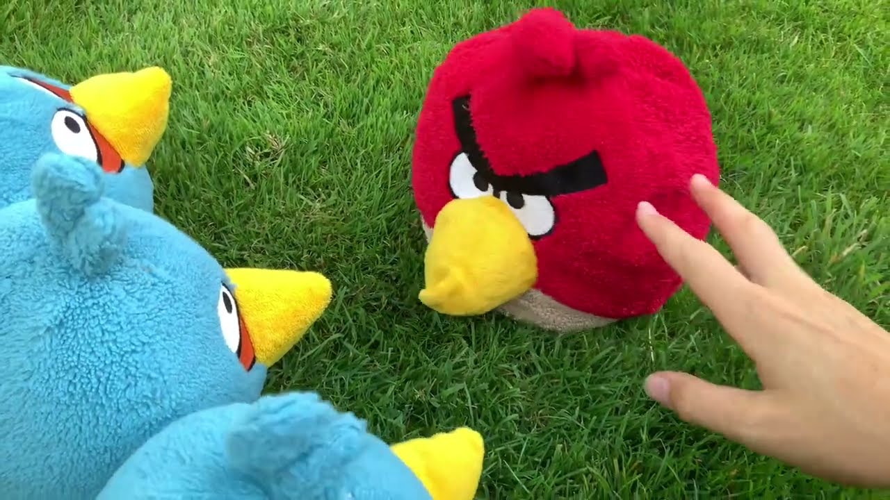 Power bird. Angry Birds Power Trouble.