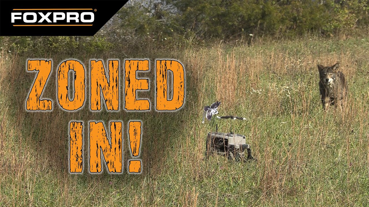 coyotes-zoned-in-on-the-foxpro-x-360-youtube