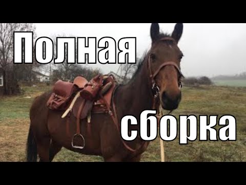 Полная сборка кавалерийского (драгунского) седла для лошади, от ленчика, вьюков, до шинели и котелка