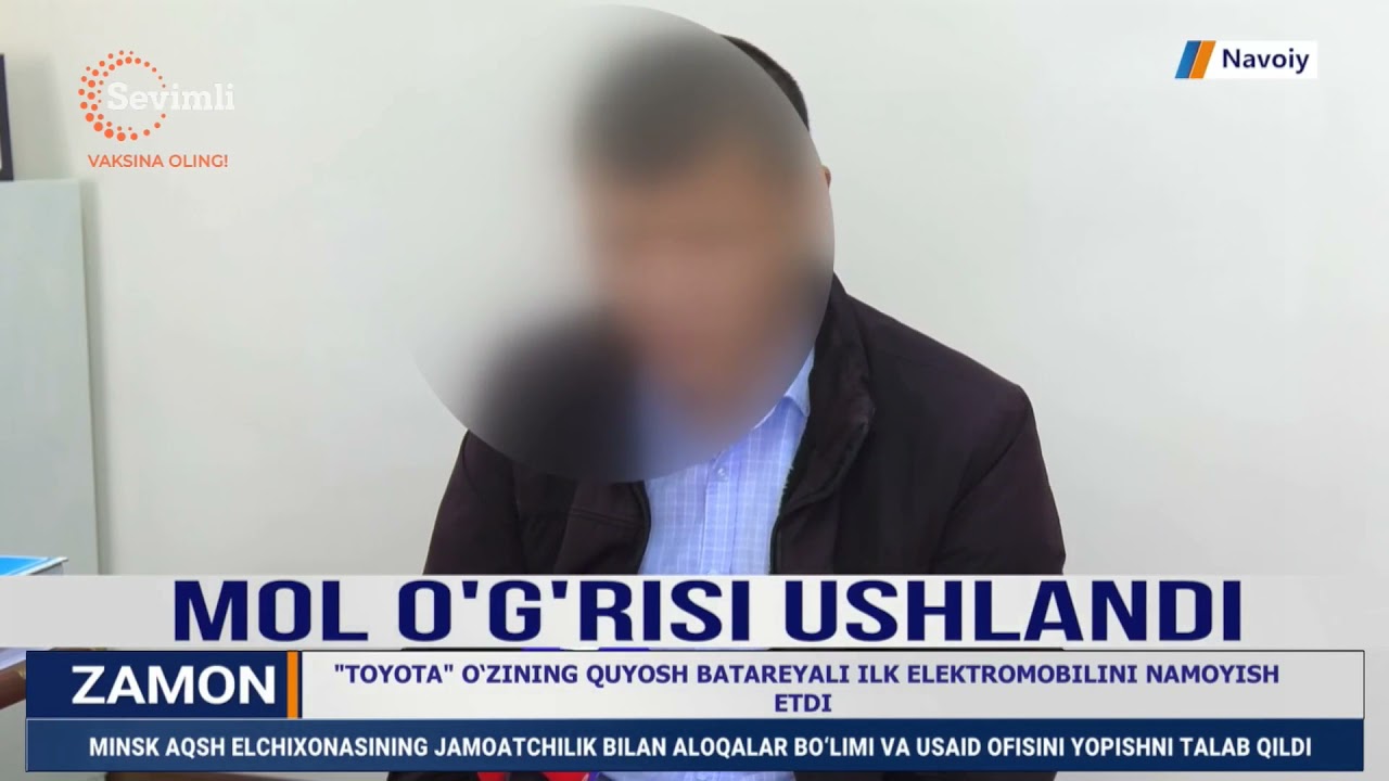 Mol oʻgʻrisi ushlandi