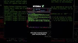 Hydra Password Attack || Kali Linux Tool || The Cyber Stick