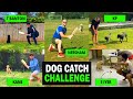 Dog Catch Challenge Ft. Kane Williamson, J Neesham, S Iyer, Tom Banton, M Labuschagne, K Pietersen