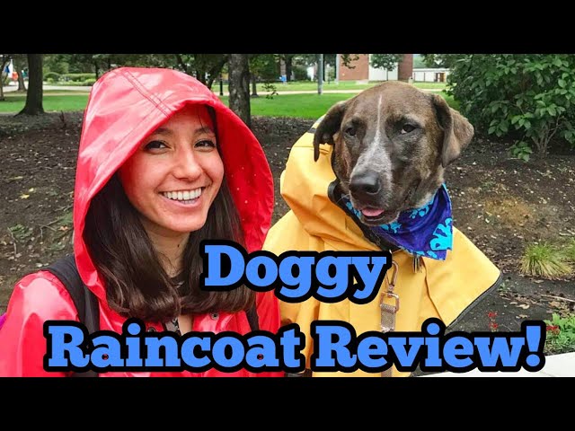 service dog raincoat
