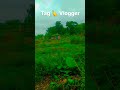 Tagvloger#miniblogs #viralblogs #instagram #trend