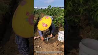 Full ingenuity, pole hole drilling completed efficiently with zero effort