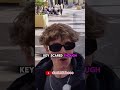 BRO TOUCHES A HORSE!😱 #streetstyle #funny #brainrot #funnyprank  #spain #memes #fails #prank #horse