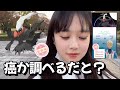 【突然?】長生きできないかもしれない不安。レイドアワー ダークライ100でた。 Pokémon GO ポケモンGO 일본인 포켓몬고