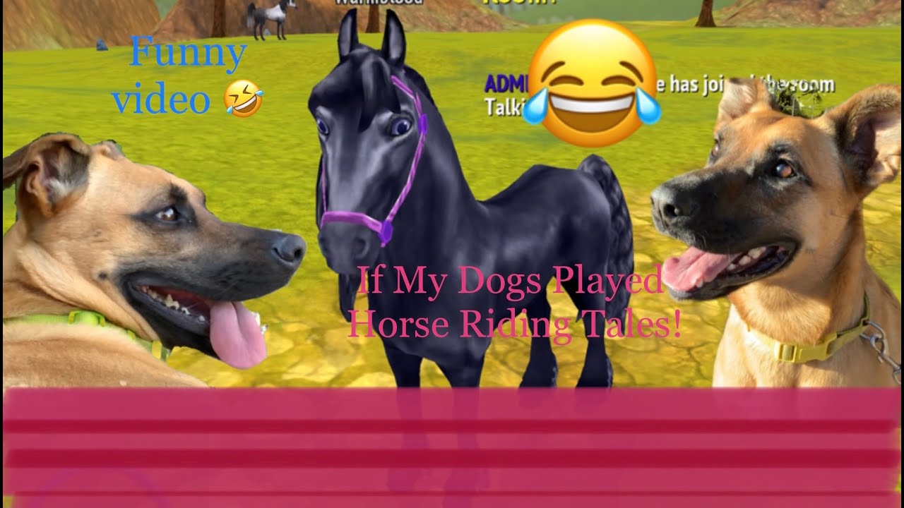 If My Dogs Played Horse Riding Tales: Funny Horse Riding Tales video!