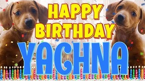 Happy Birthday Yachna! ( Funny Talking Dogs ) What Is Free On My Birthday