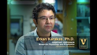 Erkan Karakas Overview – Cancer and Degenerative Diseases Resimi