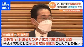 「異次元の少子化対策」新たな検討会設置　財源に「消費税増税」の声も　3月末めどに　子ども政策の強化策とりまとめ｜TBS NEWS DIG
