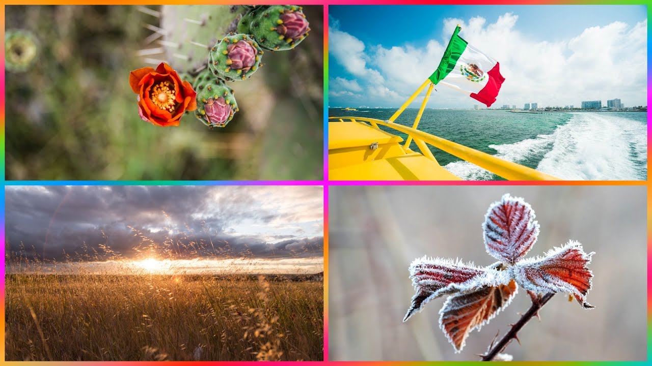 Las Estaciones del Año en México ¿Cómo se Originan? YouTube