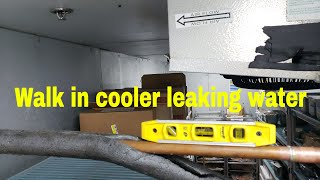 Celebrity Walk in cooler leaking water Wealth