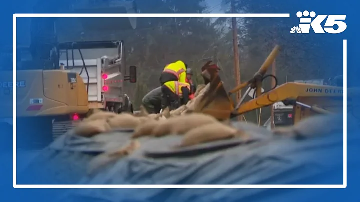 Century-old dike has Skagit County residents concerned
