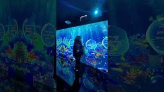 We are Immersive Experience with Video Mapping Artist