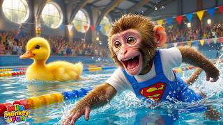 Monyet Mono Belajar Berenang dengan Pelatih Profesional lalu Bersenang-senang Bersama Anak Bebek Monyet Mono Belajar Berenang dengan Pelatih Profesional lalu Bersenang-senang Bersama Anak Bebek