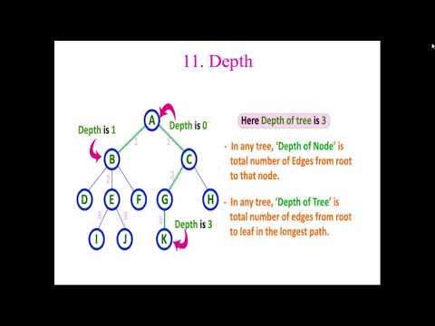 33 Trees in Data structures | Part 2 | English