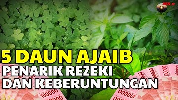 CARI SEGERA !! 5 Daun Ajaib Penarik Rezeki Pembawa Keberuntungan