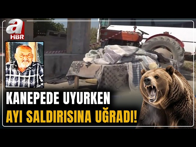 İzmir'de kanepede uyurken ayı saldırısına uğrayan adam hayatını kaybetti! | A Haber