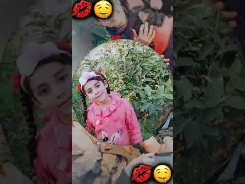 العيون العسلية 