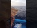 سامحني يامي