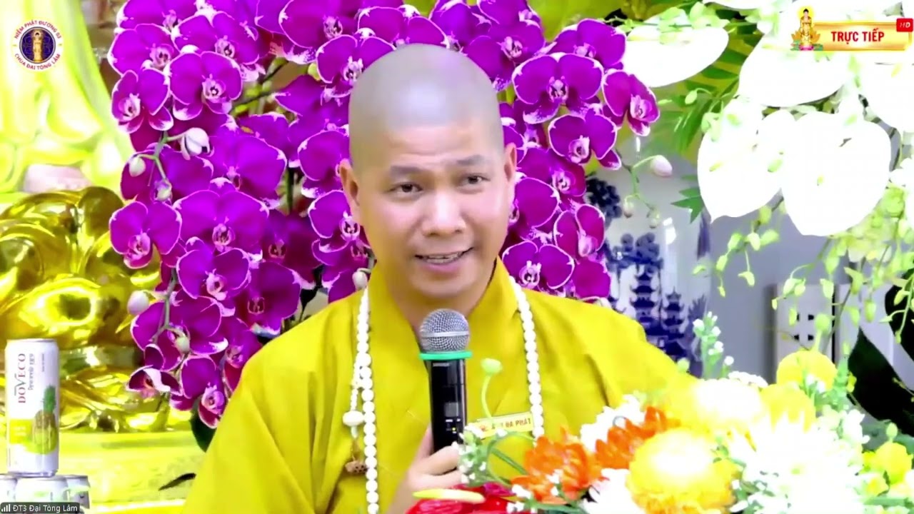 DÌ CON ĐƯỢC HN SAU 12H MỀM MẠI,CÁC CON MƠ DÌ VỀ&NGHE THẦY BÓI ĐƯA DÌ LÊN CHÙA NHỐT LẠI THÌPHẢI LSAO?