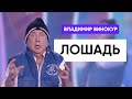 Владимир Винокур - Лошадь