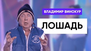 картинка: Владимир Винокур - Лошадь