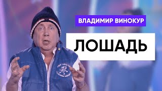 Владимир Винокур - Лошадь