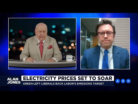 ⁣'Net-zero will result in an unreliable power grid': Daniel Wild joins Alan | Alan Jones