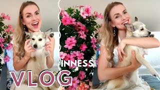 INNESS - VloG | Quarantine - Productivity, Mood, Moving out?