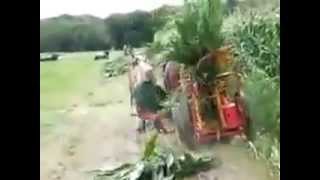 Grass Cutting Machine Desi Jugaad