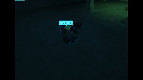 Druid Champion | Rogue Lineage