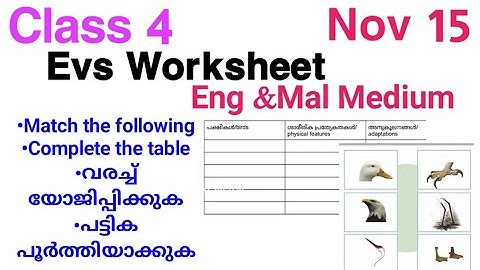 Class 4 Evs Worksheet Nov 15/Std 4 Evs Worksheet 15/11/21/4th Std Evs Worksheet 15/11/21/Victers