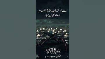سورة البقرة | Al-Baqarah | آية 238 | الشيخ وديع اليمني
