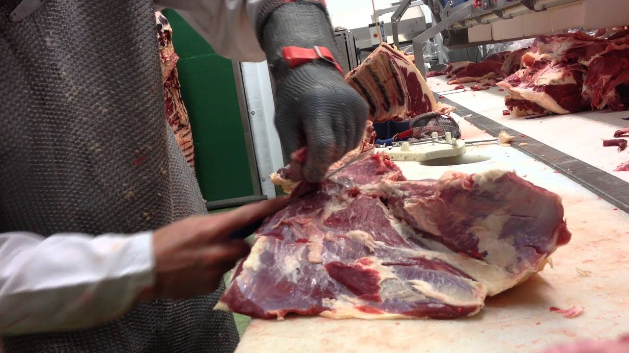 butcher school 8,part 2, beef hind quarter trimming top side, silver